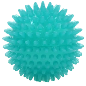 Pelota