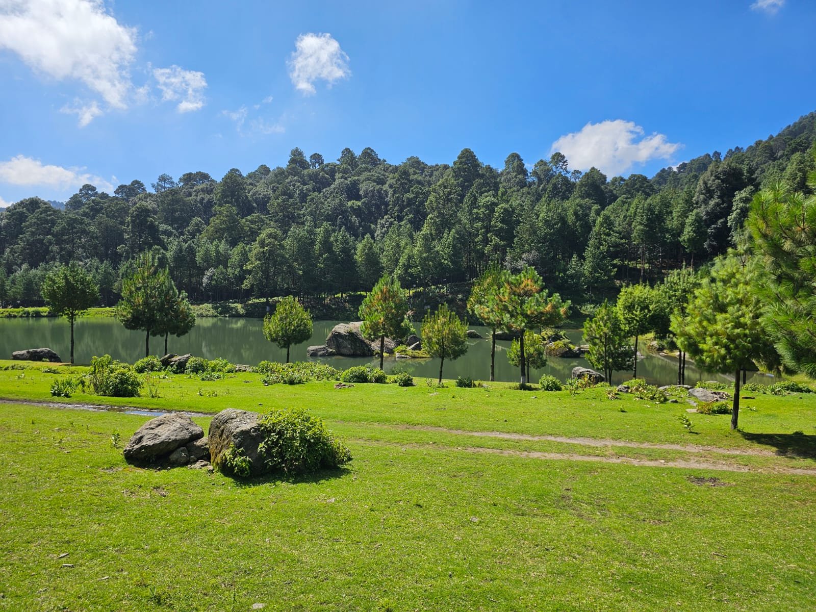 LLano de lobos