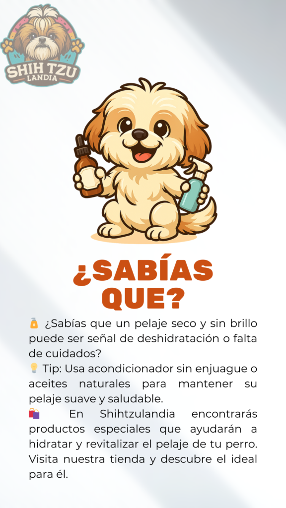 brunito